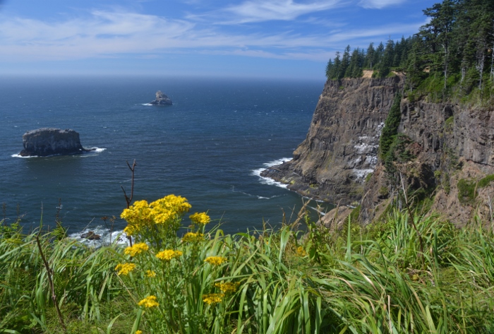 Overlooking the water from Cape Meares